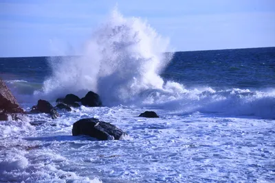 DSC_0596 (Large).JPG